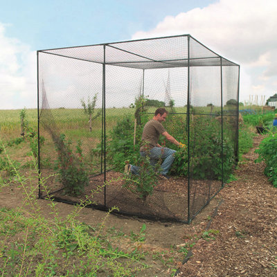 79.2'' W x 109.2'' D Fruit Cage