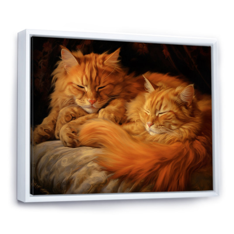 «Fluffy Orange Cats Sleeping Together I», reproduction, Cadre flottant blanc, 30" H x 40" W
