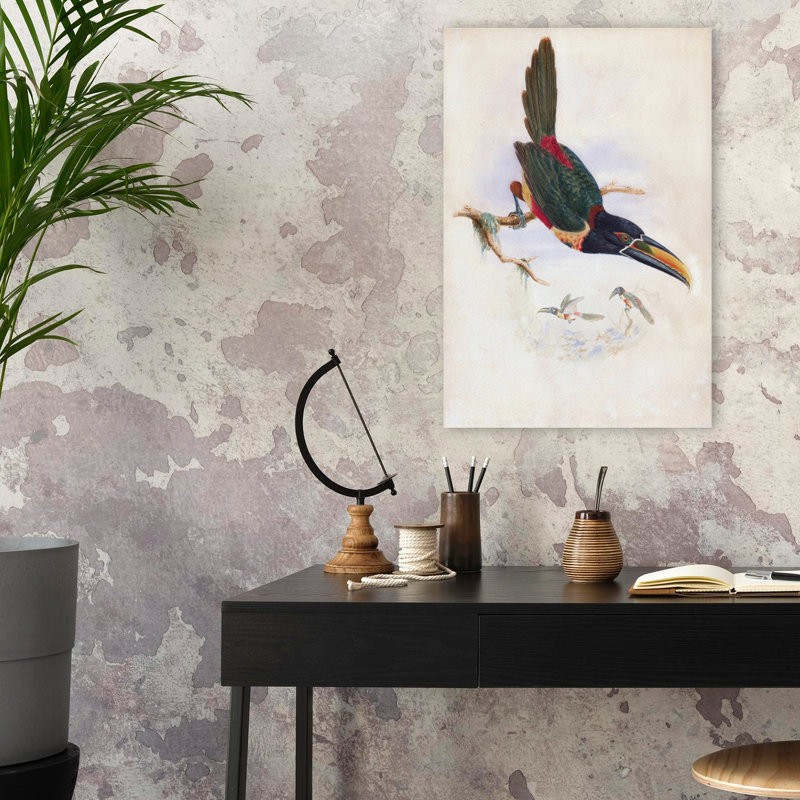 Aracari d'Amérique centrale - Art tropical rétro avec toucan, H 24 po x l 16 po