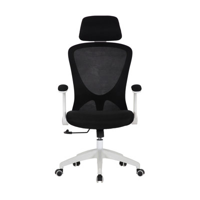 Arjun Mesh Task Chair with Headrest