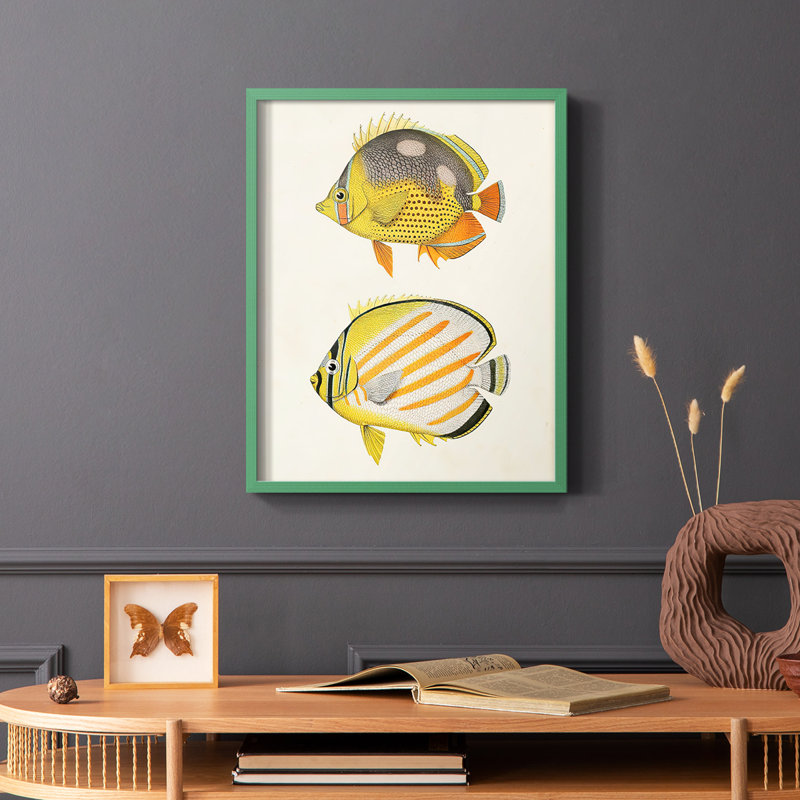 «Yellow & Gray Fish IV», reproduction encadrée - bois massif, Vert, H 10 po x l 8 po