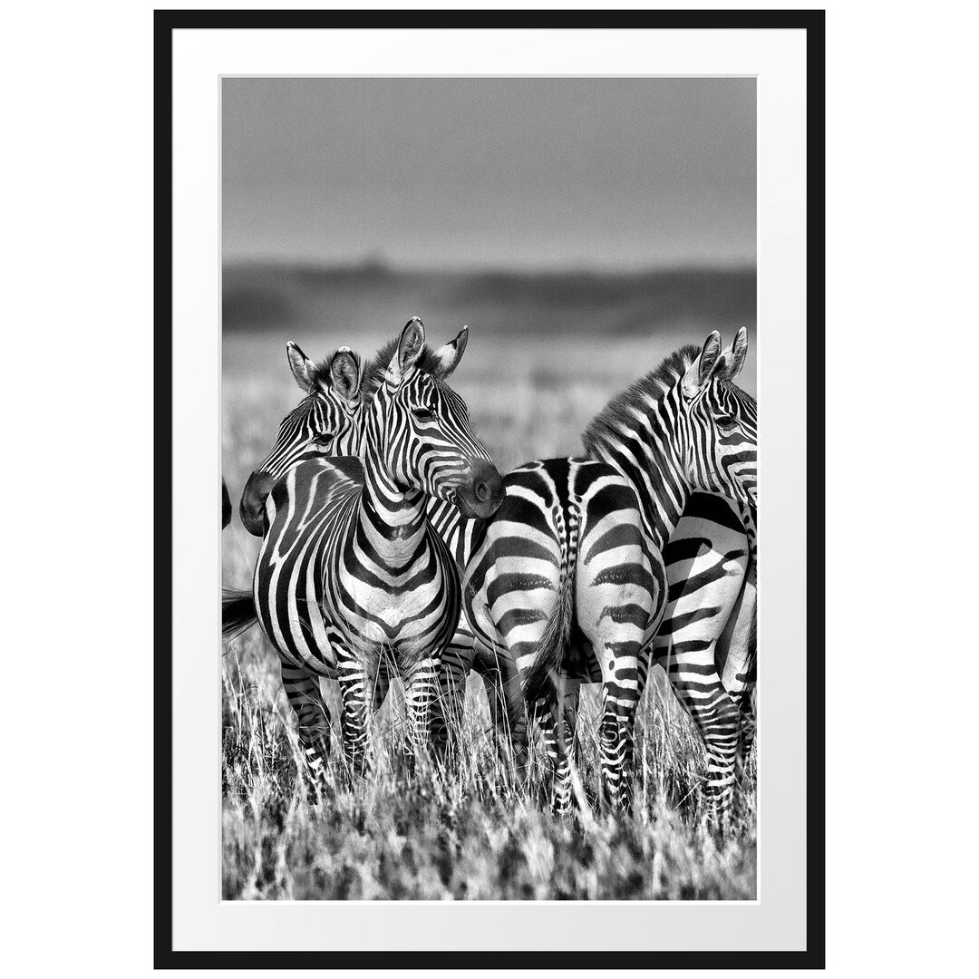 Gerahmtes Poster Kleine Zebrahorde