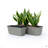 Annaleena 2-Pack Smart Self-watering Rectangle Planter Box-1414711219