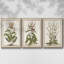 Munting Botanicals I 3 pièces-97709175-97709176
