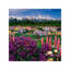 1 Piece Wall Art on Canvas-1381212177-1440893170