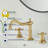 TC-16389-BG Widespread Bathroom Sink Faucet With Drain Assemly-106752888