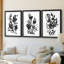 Cameo Bloom I - reproduction sur mesure encadrée de qualité supérieure - 3 pièces-291023606-291023607