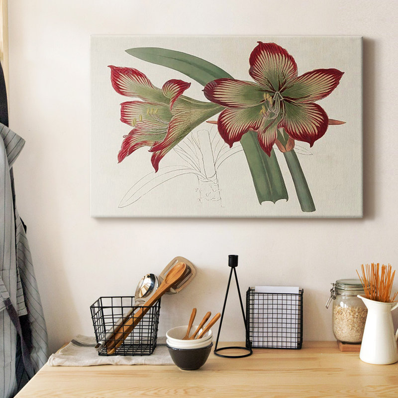 Amaryllis Varietals IV Premium Gallery Wrapped Canvas - Ready to Hang, 18" H x 27" W