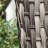 Tichina Swivel Premium All-Weather Wicker Outdoor Lounge Chair-46030360
