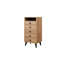 Goutham 5 Drawer Storage Drawer