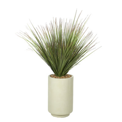 4.5' Onion Grass in Rainey Planter