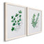 Freshly Picked I - Ensemble de 2 peintures sur toile encadrées-1667209257-1667209259