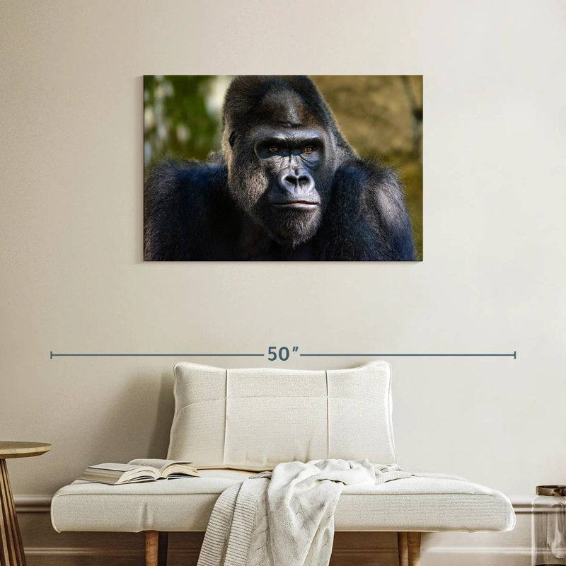 Crowle Mountain Gorilla, 24" H x 36" W