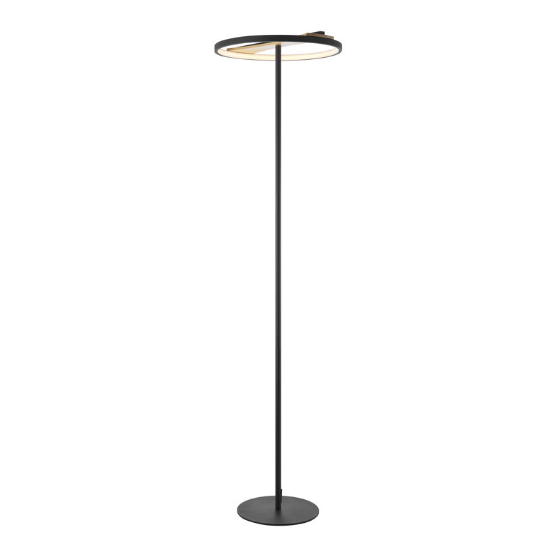 Satin Black Iron & Wood Floor Lamp