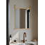 Mirror Barb (Large)-1419261990