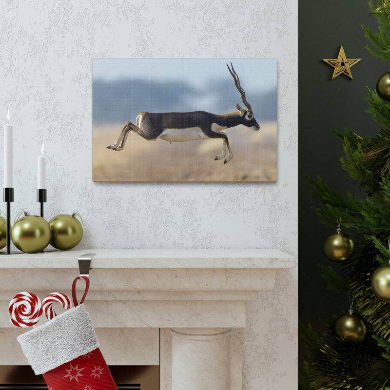 Wall Art on Canvas, 14cm H x 11cm W