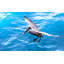 Mccutchen " Pelican On The Bubble "-1746679129
