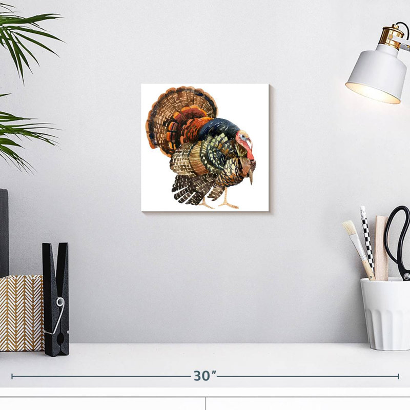 Brampt Turkey
