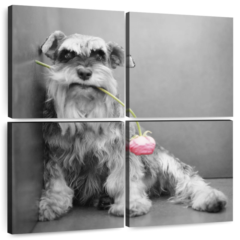 Brampt Ziggy BW, 45" H x 45" W