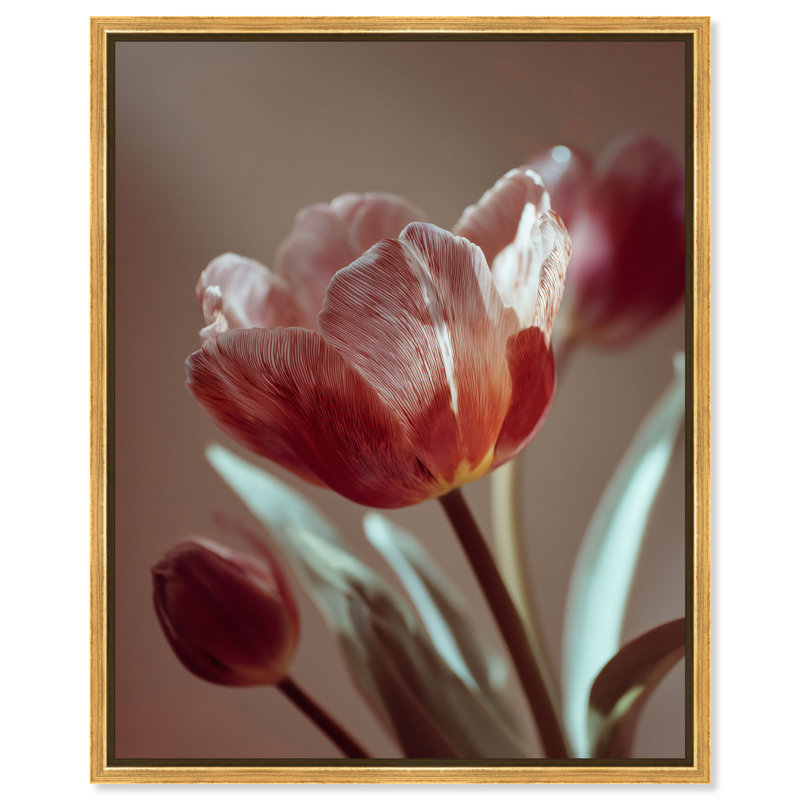 Muse of Spring Floral & Botanical Canvas Print by Oliver Gal, Black Frame, 16 x 20, 17"H x 21"W, Gold Floater Frame