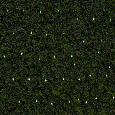 Twinkle Net Lights