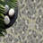 Kansas 12" x 12" Natural Stone Pebbles Mosaic Wall & Floor Tile-122574556