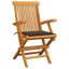 Patio Chairs Outdoor Bistro Folding Chair with Cushions Solid Wood Teak-1007649198