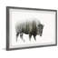 Angry Bison - Single Picture Frame Print-2033298531