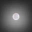 Forked Globe / Large -275329981