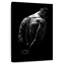 Muscles du dos-1891885801