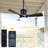 42" Outdoor Smart Ceiling Fan with Dimmable LED Lights and APP & Remote Control, 6-Speed DC Motor, Waterproof Easy Install for Patio, Porch, Gazebo