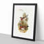 Chestnut-breasted Ground Thrush by Elizabeth Gould - Picture Frame Painting Print-55536135-55536138