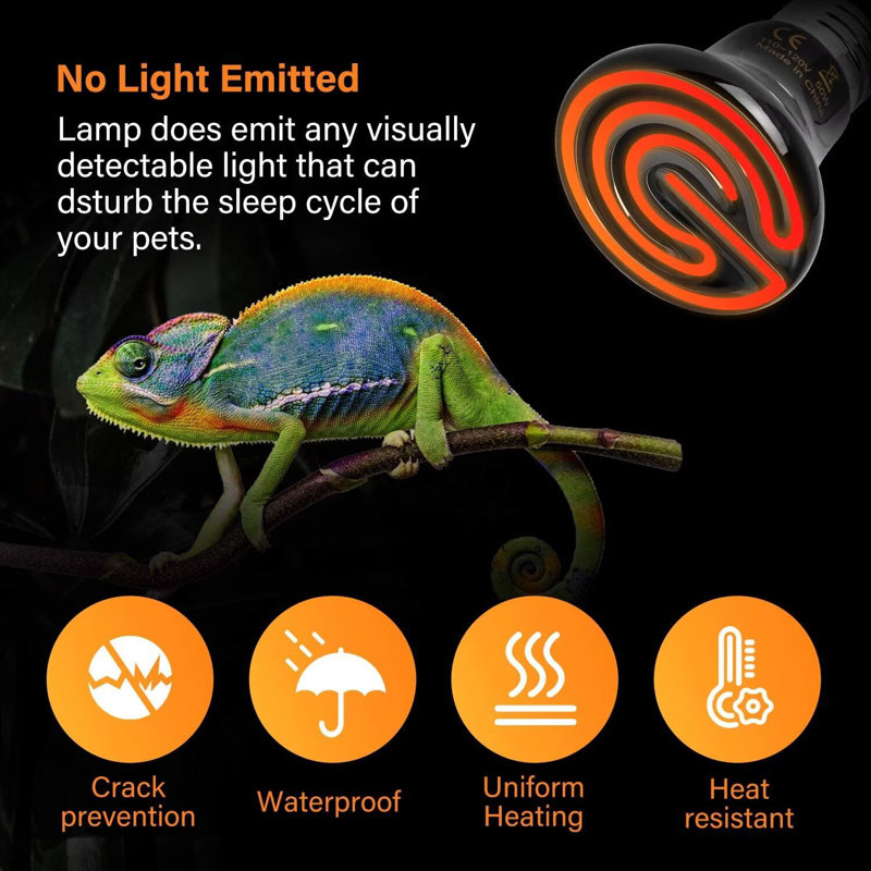 Mini-ampoule de luxe simple en céramique 50W avec diffuseur de chaleur pour reptile et ampoule sans poulailler pour les Amphibiens et les poulets en incubation, paquet de 2