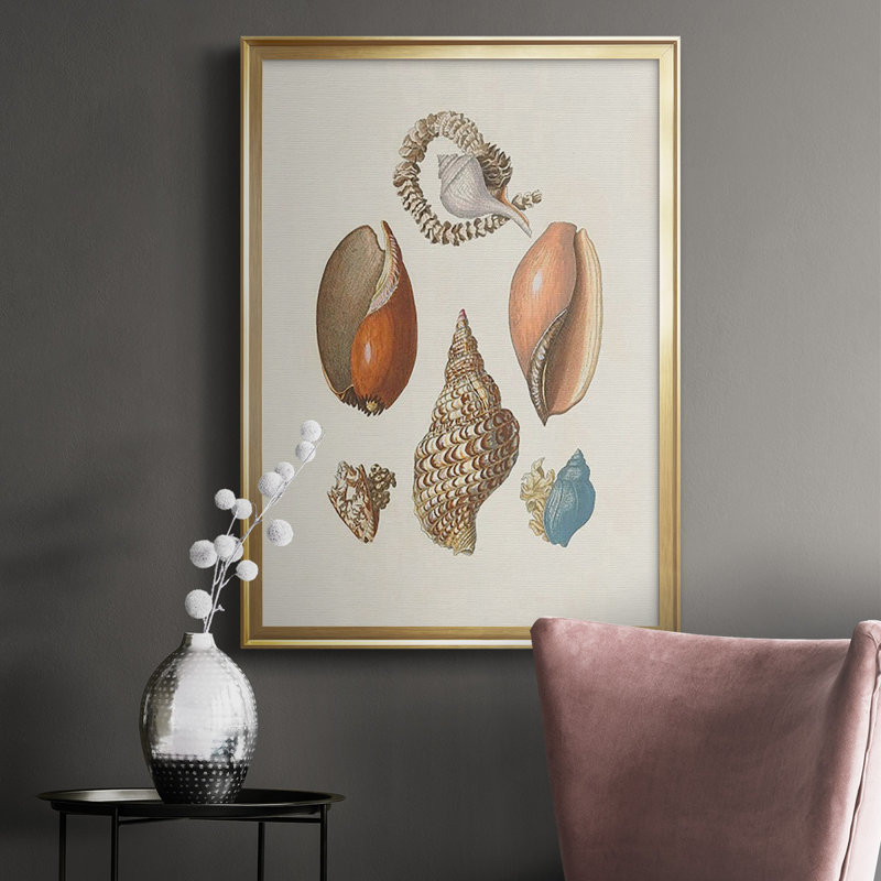 Knorr Shells & Coral I, reproduction encadrée de qualité supérieure - prête à être accrochée, Or
