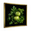 Fennel Herbs Fantasy 1 - Floral Herbs, art mural-838301038-872403633