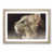 Oak Framed selected