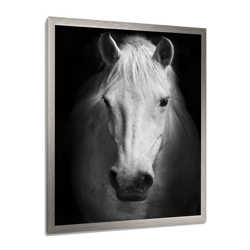 Cheval, reproduction d'art sur toile, cheval noir et blanc, H 20 po x l 12 po, Impression encadrée, Argent