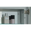 R3 Series Recessed or Surface Mount Frameless Medicine Cabinet with 3 Adjustable Shelves