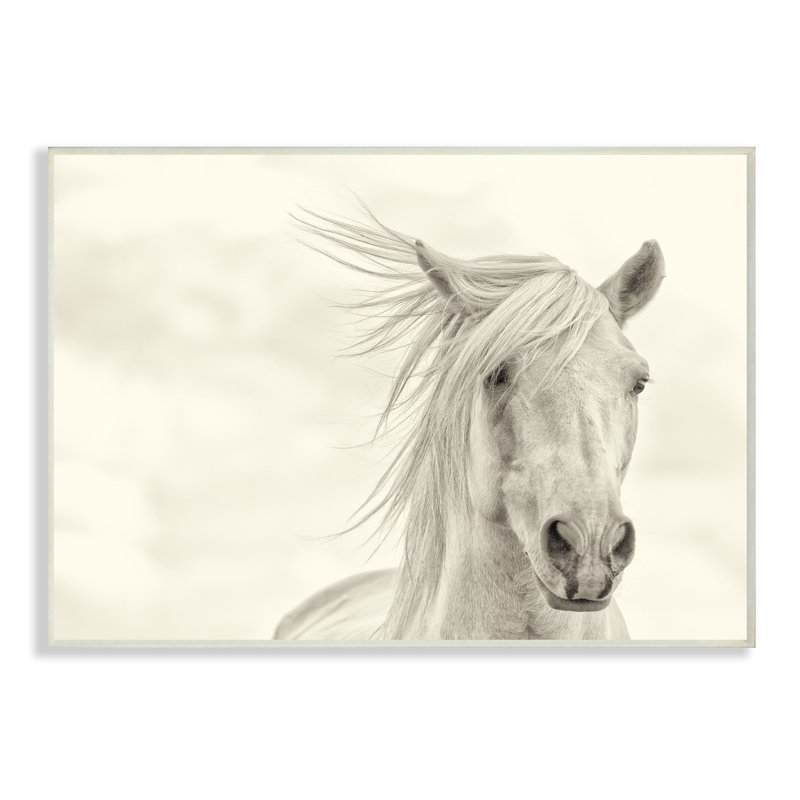 « white cheval running », impression, 10 po x 15 po, Plaque