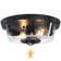 Dcaildz 2 -light Round Shade Outdoor Flush Mount Ceiling Lights with Motion Sensor