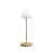 Satin Brass