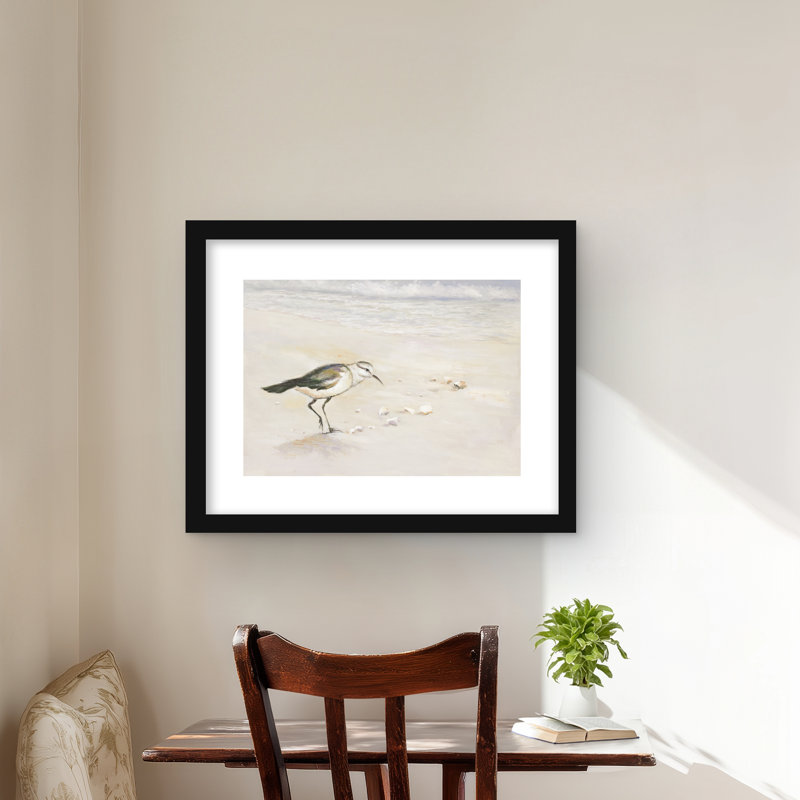 Imprimé Semipalmated Sandpiper Beach | Cadre encadré