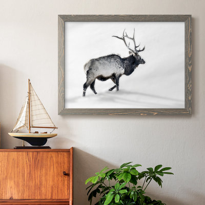 " Lone Bull "