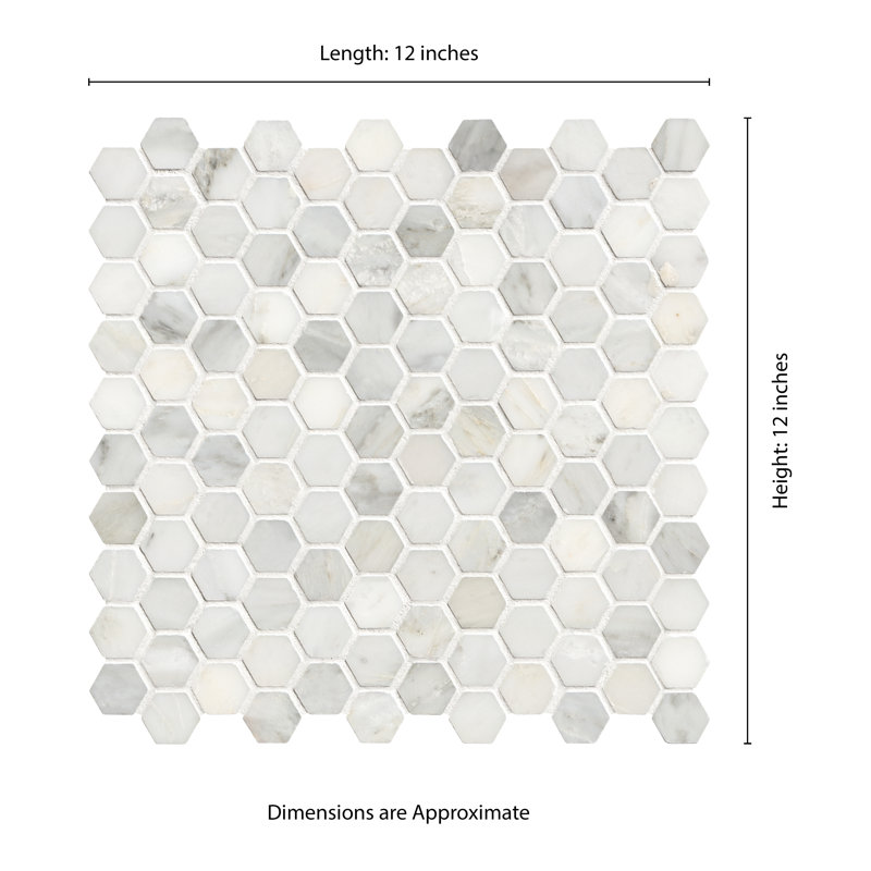 MSI Arabsecato Carrara 1" Hexagon 12 in. x 12 in. Honed Marble Mosaic Floor and Wall Tile, Arabsecato Carrara