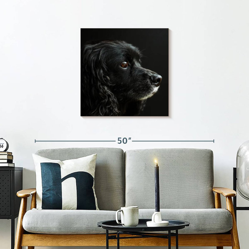 Crowle Cocker Spaniel Portrait