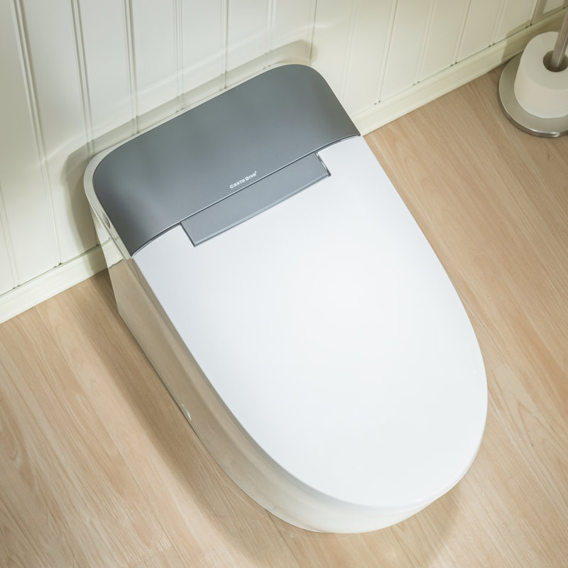 Toilette une pièce, toilette non électrique, Dark Gray