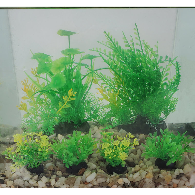  Aquarium Accessory
