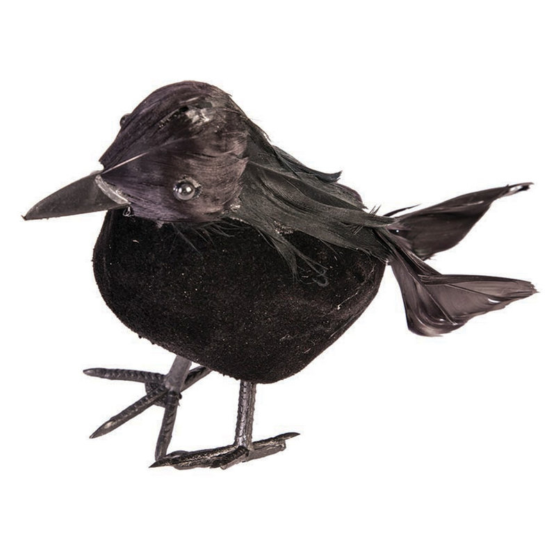 Small Crows