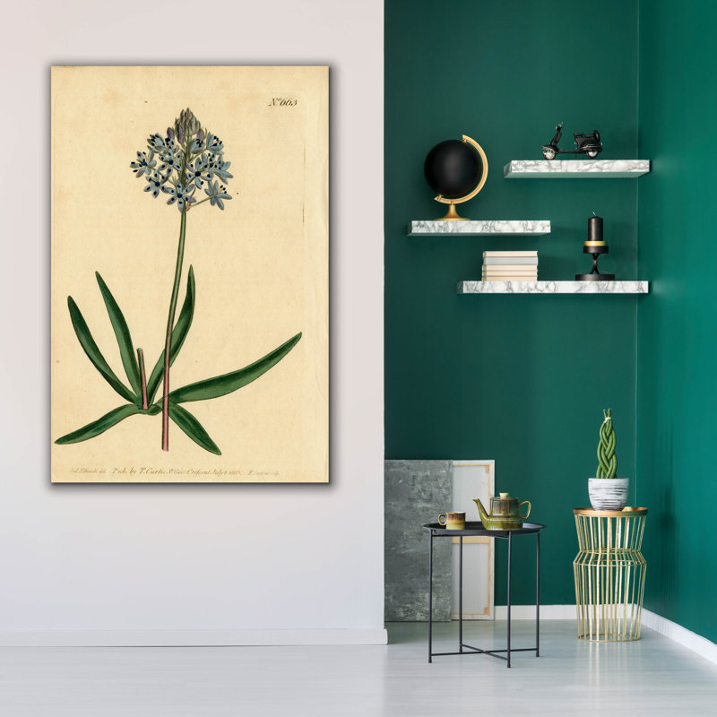 Toile épique «Italian Squill» par Art Licensing Studio, Epic Graffiti, 40 po x 60 po