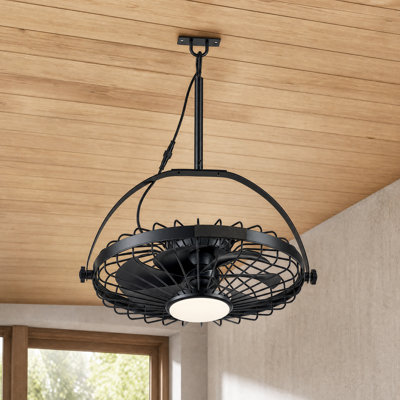20 in. Waterproof Outdoor Plug-In Caged Ceiling Fan with Dimmable LED Light and Remote, Wall Mount or Flush Mount